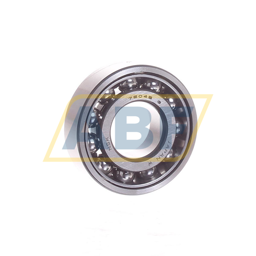 7204BWG NSK