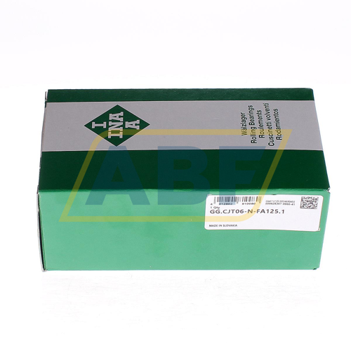 GG.CJT06-N-FA125.1 INA