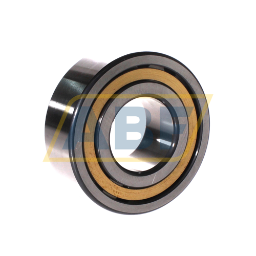 NJ2310-E-XL-M1-C3 FAG