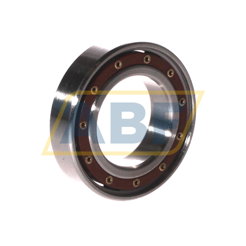 CB6007.TB.P63 IBC Bearings