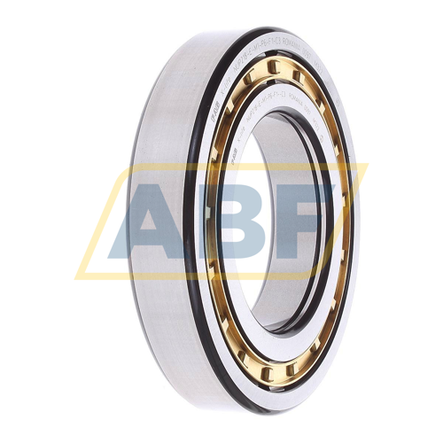 NUP218-E-M1-P6-F1-C3 FAG