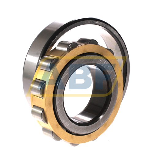N312M/P63 SKF