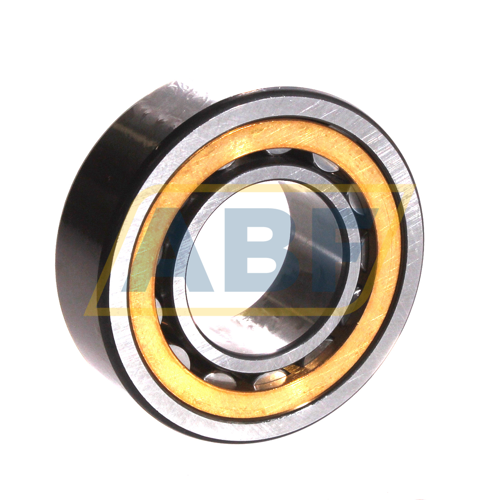 NU2206-E-XL-M1A-C4 FAG