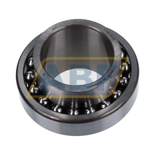 11210TV SLF Fraureuth