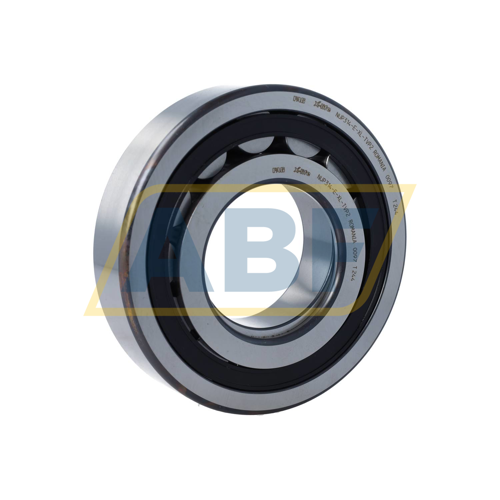 NUP314-E-XL-TVP2 FAG