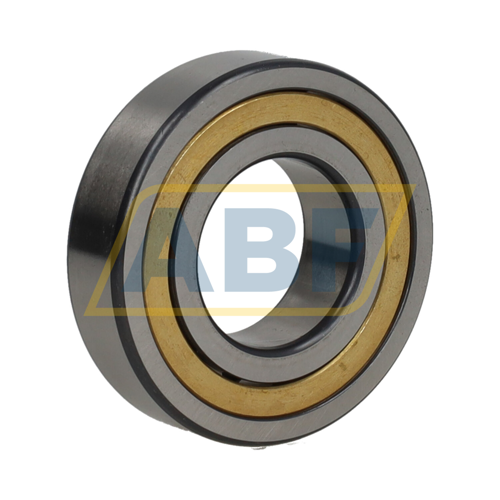 NJ206-E-XL-M1A-C3 FAG