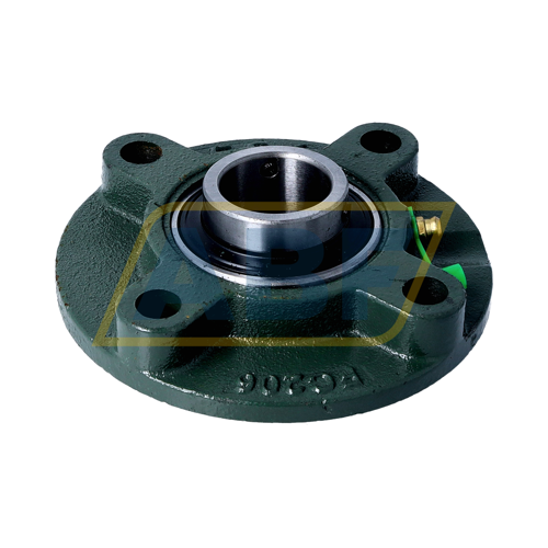 UCFC206 FSY