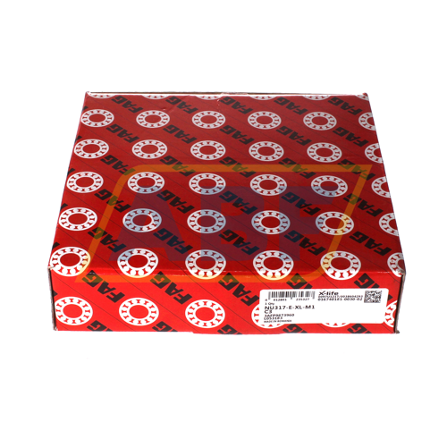 NU317-E-XL-M1-J20AA-C3 FAG