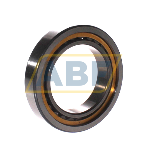 NU1012-XL-M1A-C3 FAG