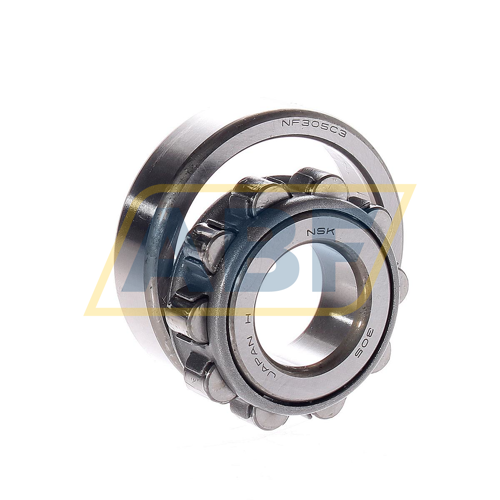 NF305W C3 NSK
