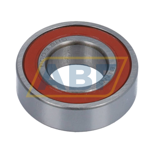 6003-2RS Bing Netherlands