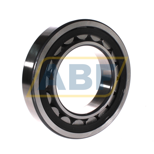 NU219-E-XL-TVP2-C3 FAG