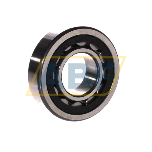 NU307-E-XL-TVP2-C3 FAG