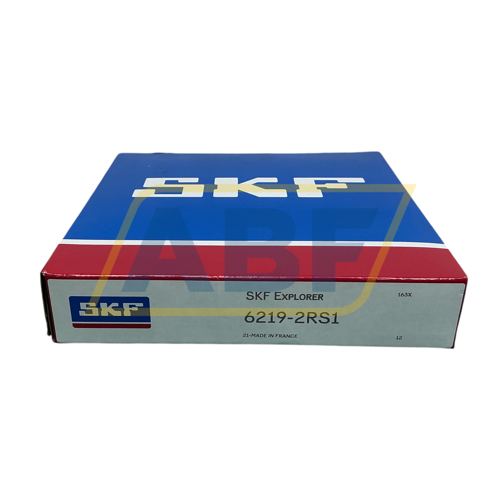 6219-2RS1 SKF