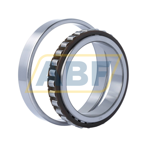 N1020KTN9/SP SKF