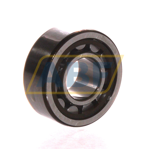 NU2204ECP SKF