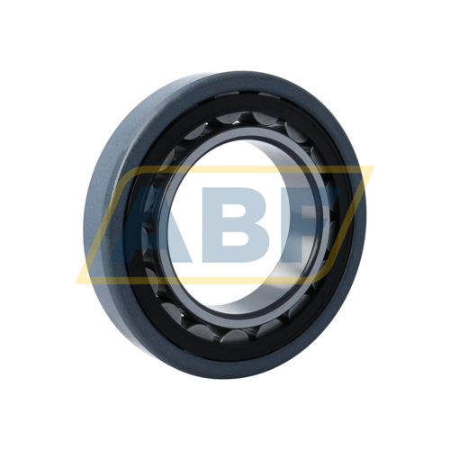 NU218-E-XL-TVP2-J20A-C3 FAG