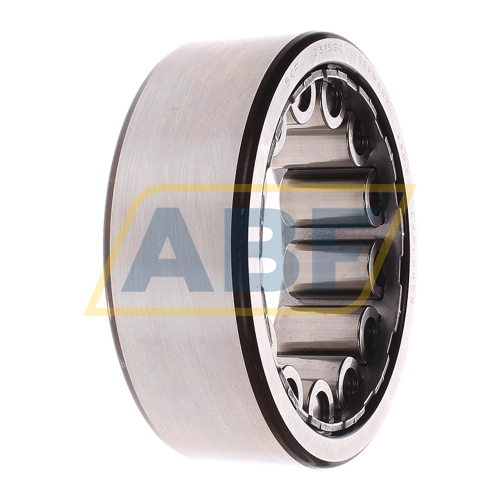 RNU2315ECJ SKF