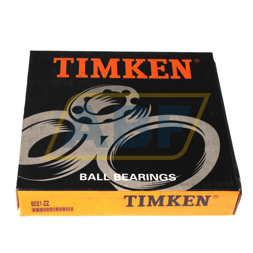 6021-ZZ Timken