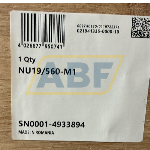 NU19/560-M1 FAG