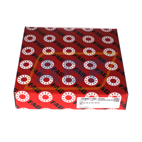 NUP219-E-XL-M1A-C4 FAG