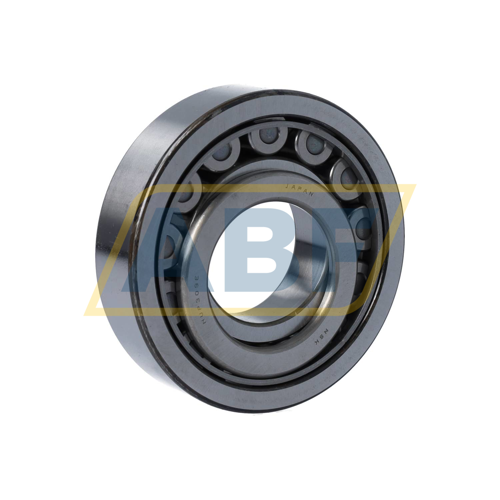 NUP309EWC3 NSK