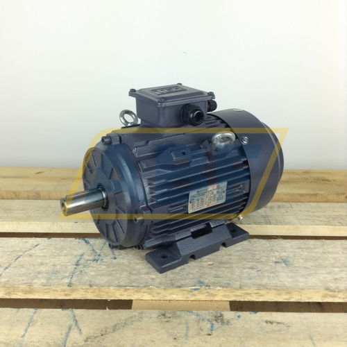 T2CR100L2-4B3 TEC Electric Motors