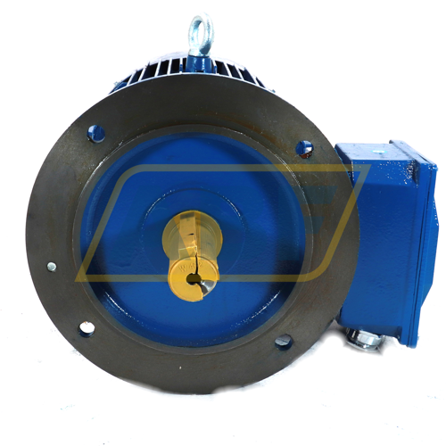 Y2E2-160L-2-B5 Hoyer