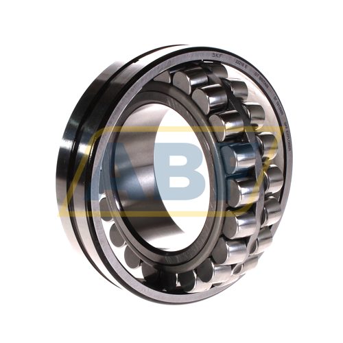 22216E SKF
