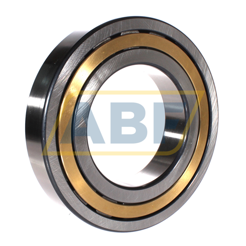 NJ224-E-XL-M1-C3 FAG