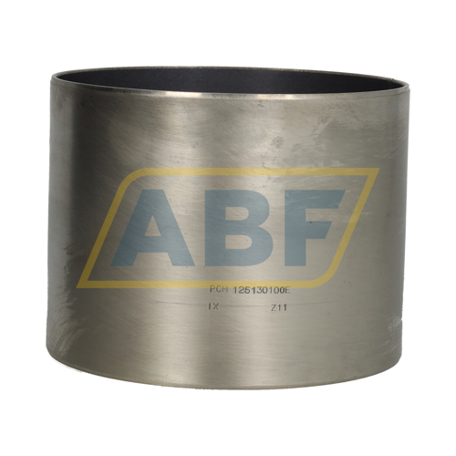 PCM125130100E SKF