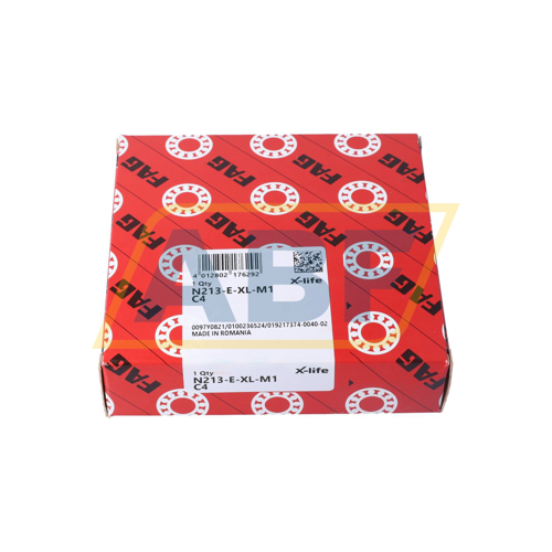 N213-E-XL-M1-C4 FAG