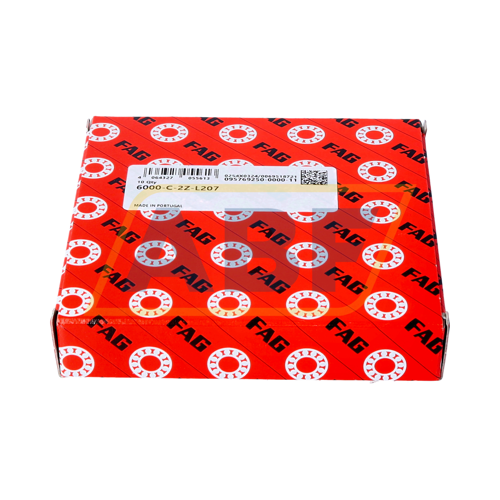 6000-C-2Z-L207 FAG
