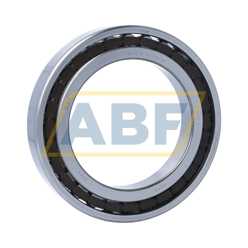 N1019KTN9/SP SKF