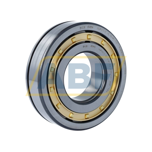 NUP311-E-XL-N-M1-C3 FAG