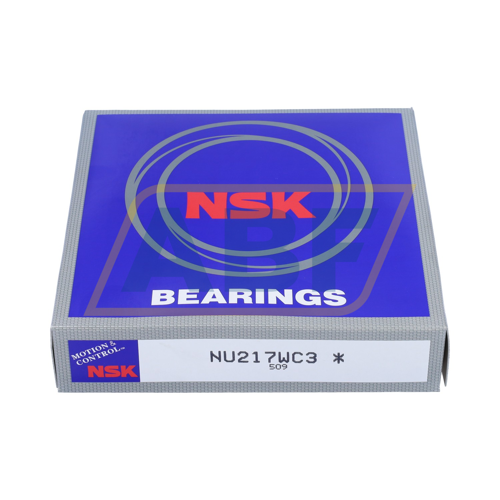 NU217WC3 NSK