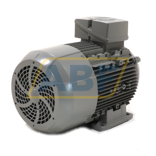 1LE1003-1CB02-2AA4 Siemens