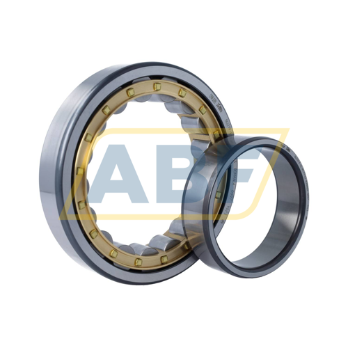 NU219-E-XL-M1-F1-C3 FAG