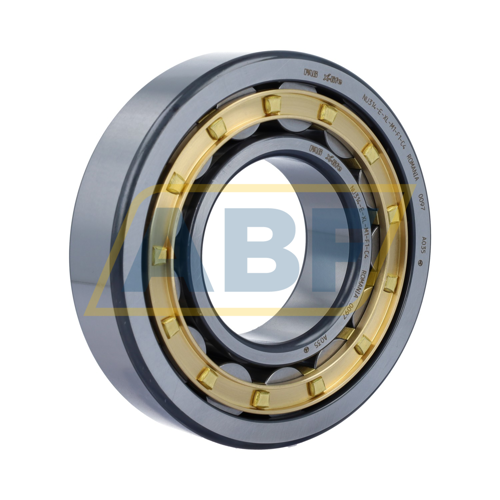 NU314-E-XL-M1-F1-C4 FAG