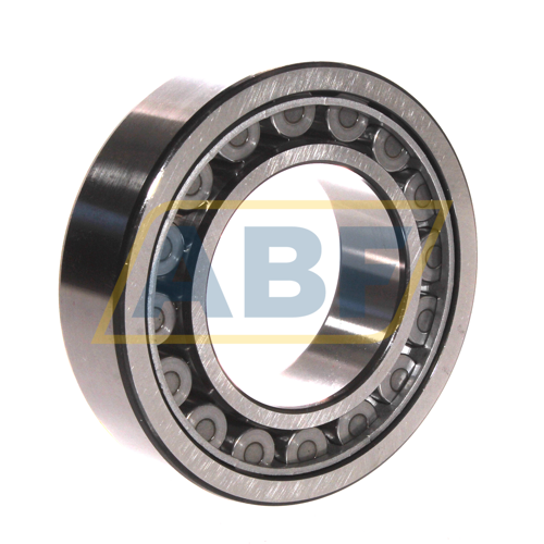 NJ2213ECJ SKF