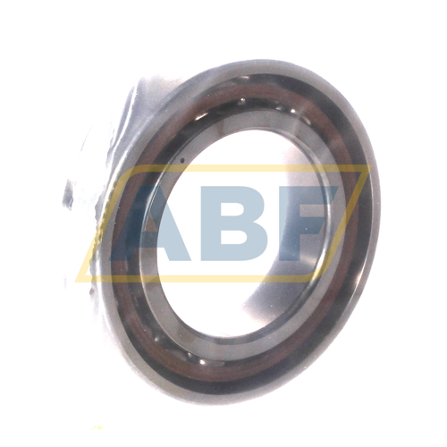 B7008-C-T-P4S-UM FAG