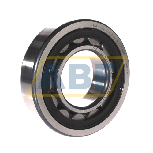 NU313-E-XL-TVP2-QP FAG