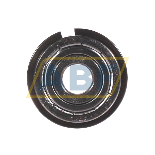 6200-2ZNR SKF