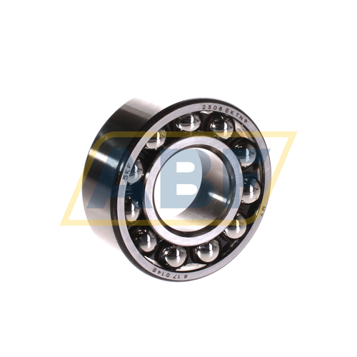 2308EKTN9 SKF