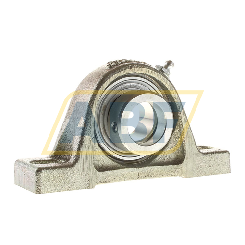 PASE25-N-FA125 INA
