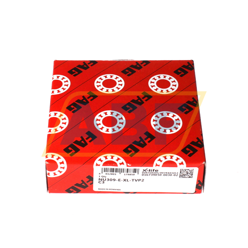 NU309-E-XL-TVP2-C3 FAG