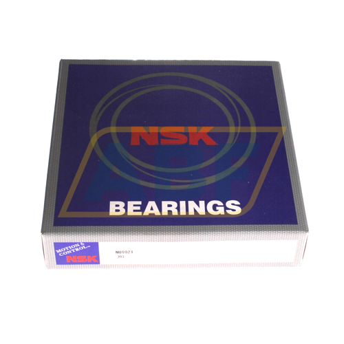 NU1021 NSK