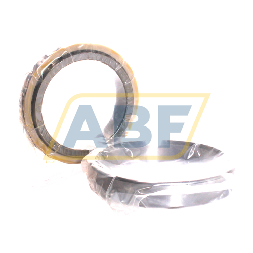 N1013-C-K-PVPA-SP FAG