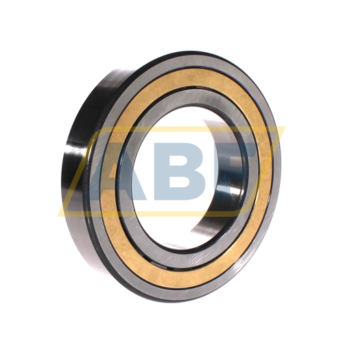 NJ218-E-XL-M1A-C3 FAG