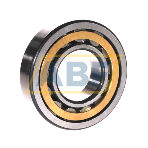 NU310-E-XL-M1-C3 FAG